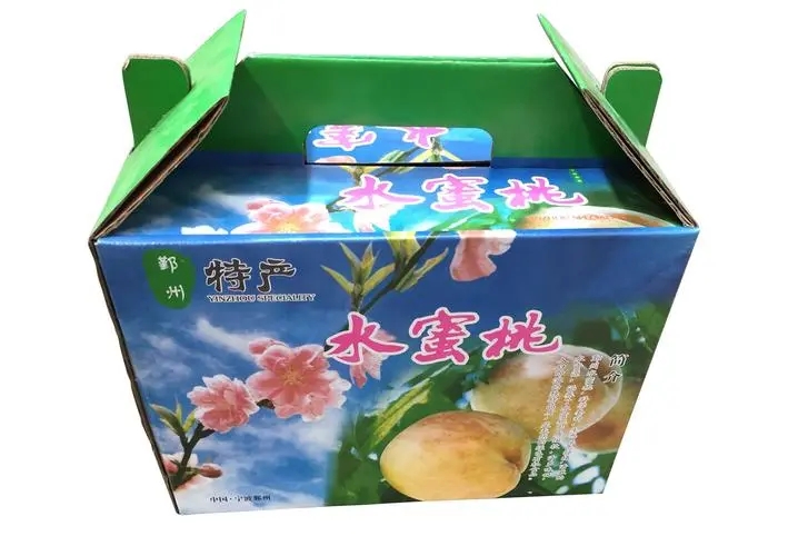 西安紙(zhi)箱案例(li)展示